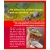 Small Stone Terrains