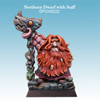 Northern Dwarf with Staff