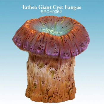 Tathea Giant Cyst Fungus