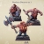Northern Dwarves – Start to Play